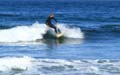 San diego scripps 08