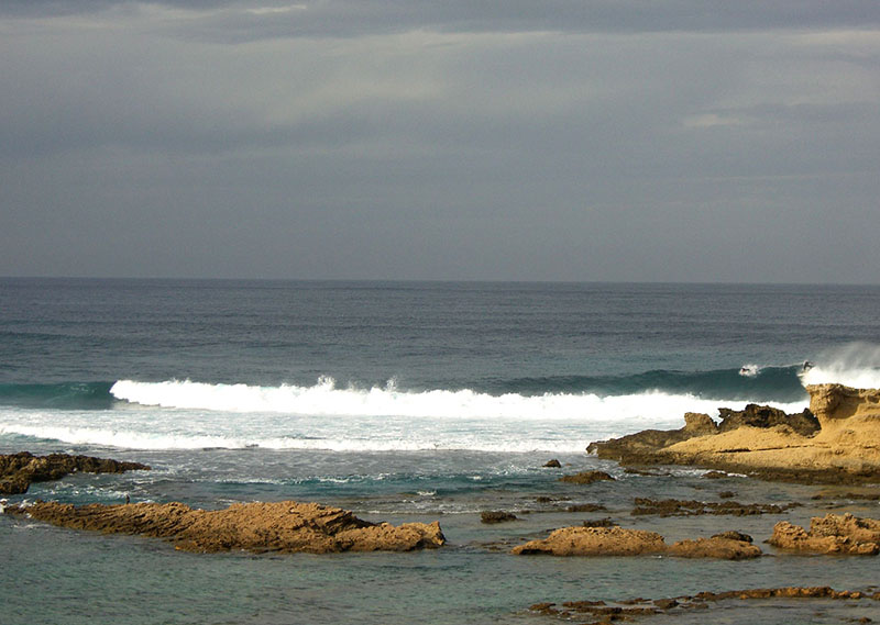 SA MESA LONGA DX