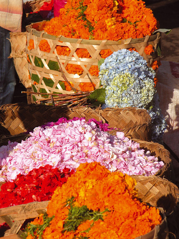BALI FLOWERS