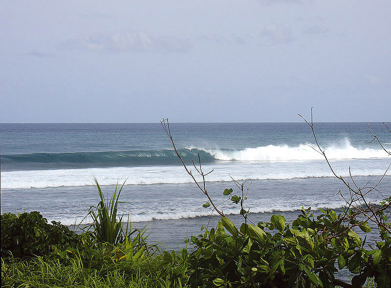 BALI WAVE