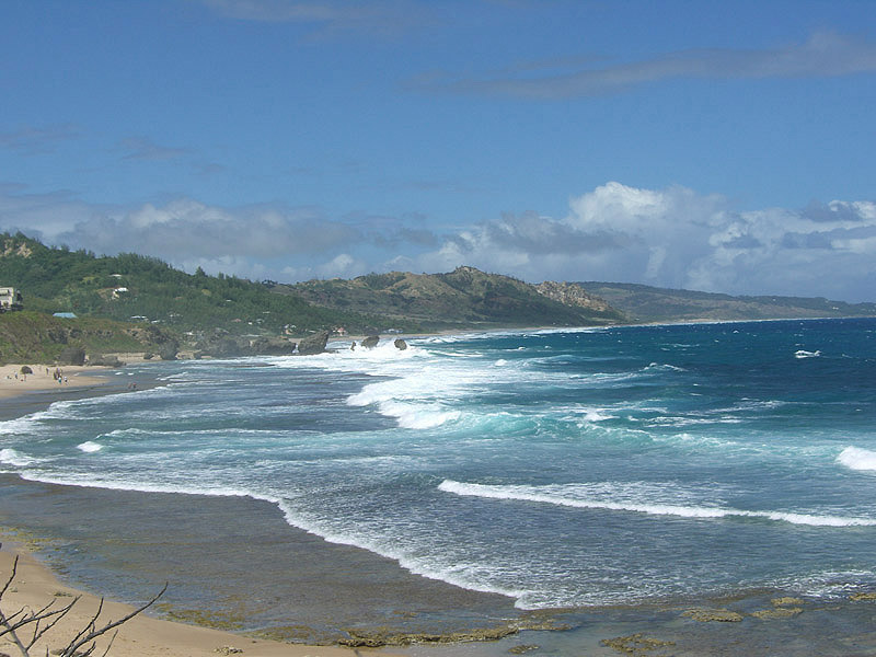 Barbados batsheba
