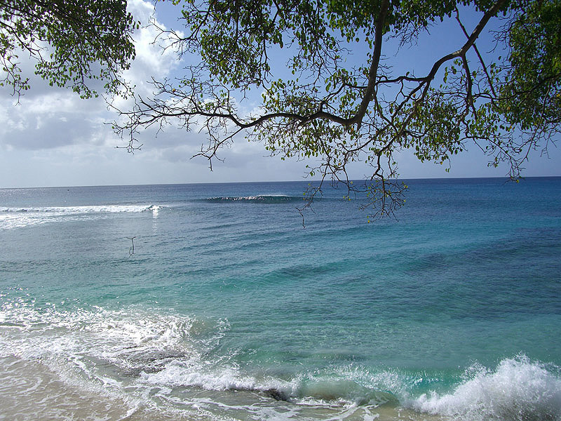 Barbados west