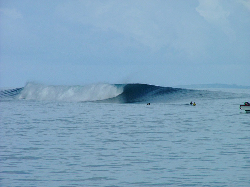 Mentawai2