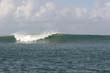 BALI  BOMBIE