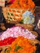 BALI FLOWERS