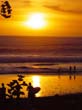 BALI KUTA