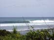 BALI WAVE