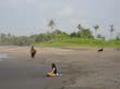 Bali Ale20051