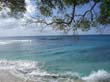 Barbados west